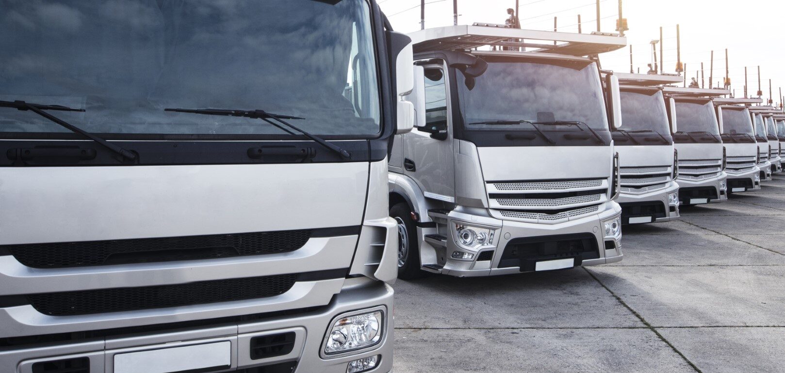 Group of trucks parked in a row.